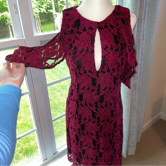 HP ❤️ Cupcakes and Cashmere Lace Dress - Picture 3 of 9